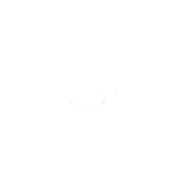 Riesling Stuben Logo in Weiß